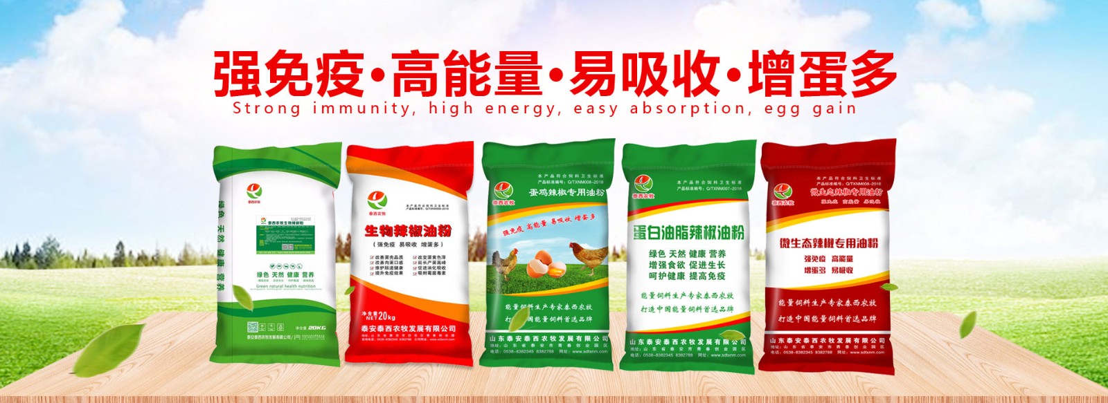 冬季預(yù)防雞感冒泰安泰西農(nóng)牧有辦法