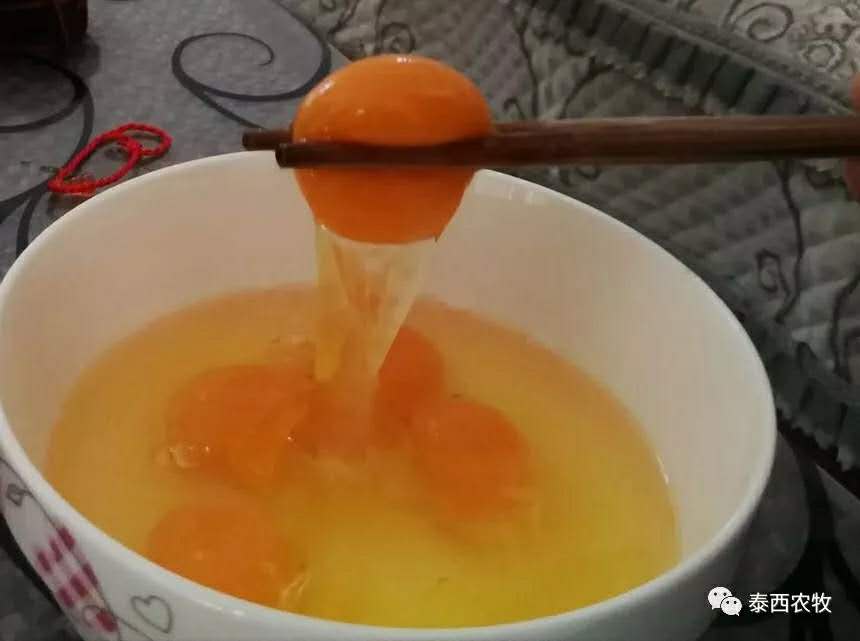 發(fā)酵料對(duì)禽蛋品質(zhì)的影響!