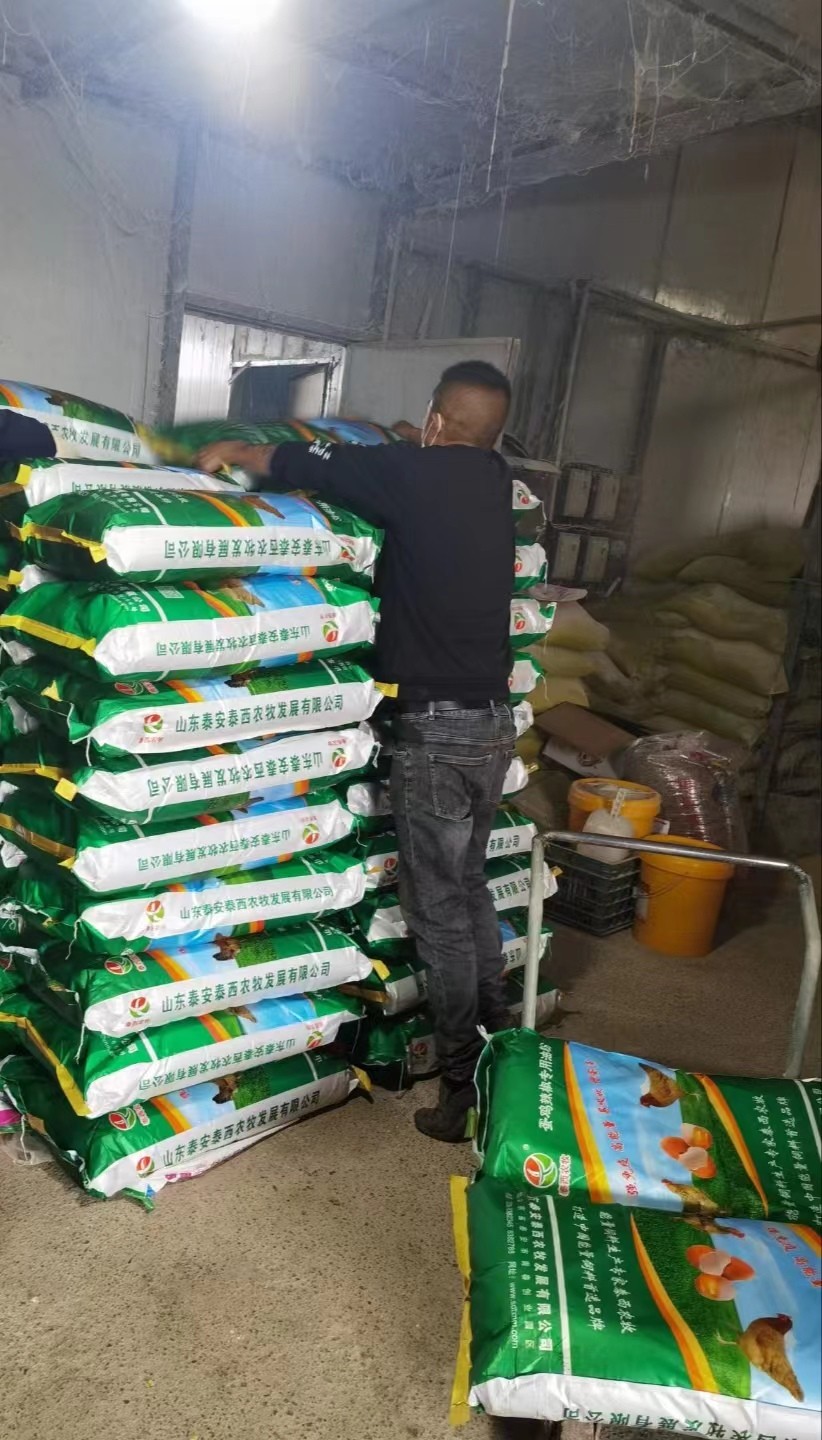 蛋雞辣椒專用油粉提醒產(chǎn)蛋期加強科學管理