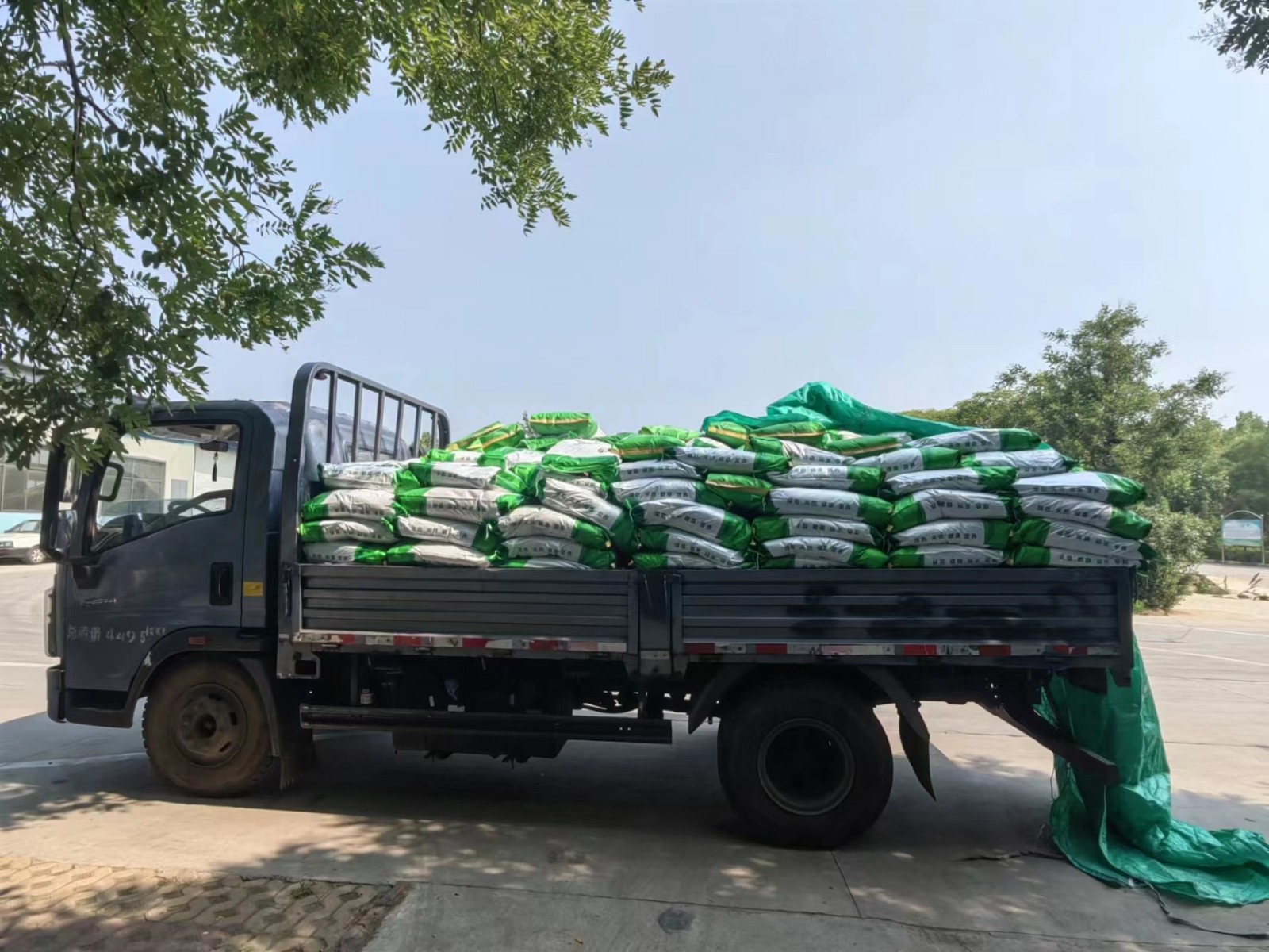 泰西農(nóng)牧發(fā)酵辣椒粕蛋雞添加對腸道起什么作用