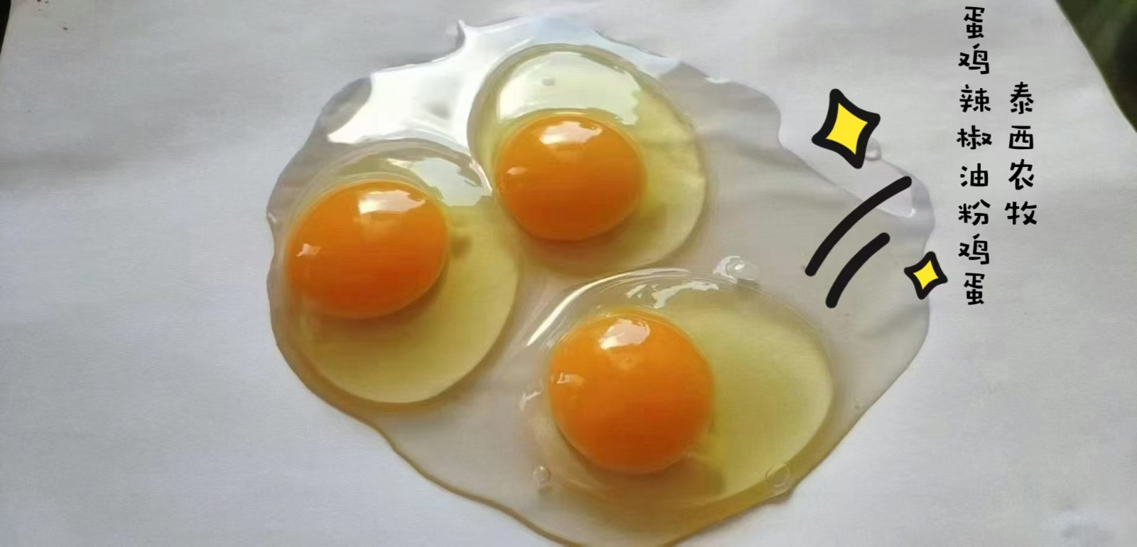 泰西農(nóng)牧蛋雞辣椒油粉可定制加工