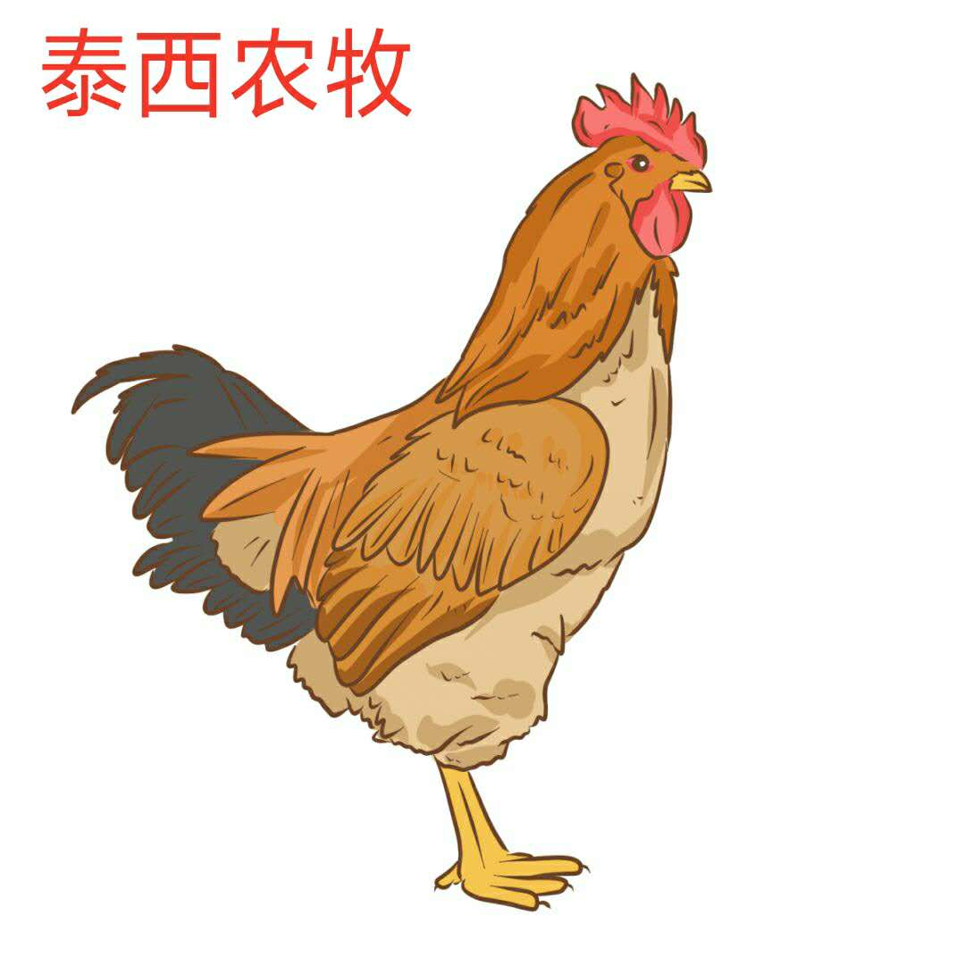 發(fā)酵辣椒粕好不好，我說(shuō)了算。