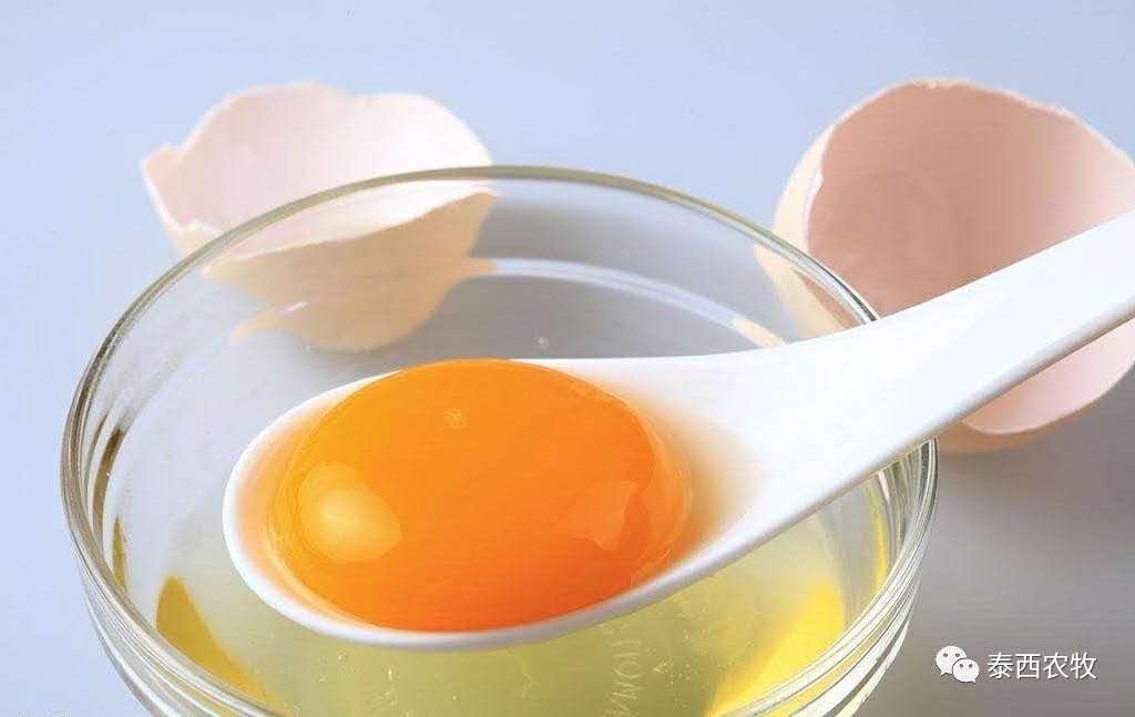 泰西農(nóng)牧-蛋黃油對(duì)小孩有什么好處？