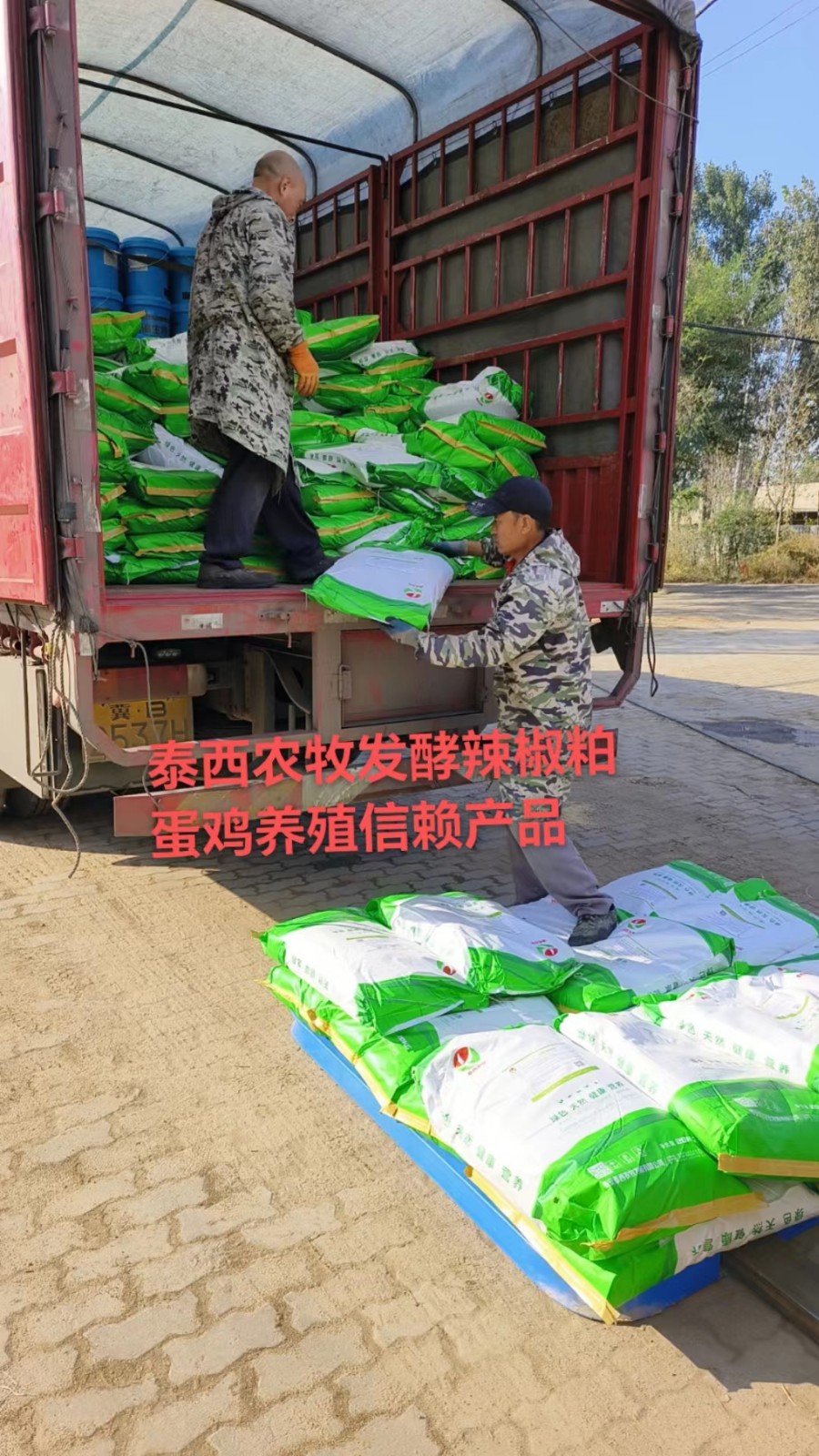 蛋雞養(yǎng)殖發(fā)酵辣椒粕降低雞蛋破損率提升 養(yǎng)殖效益