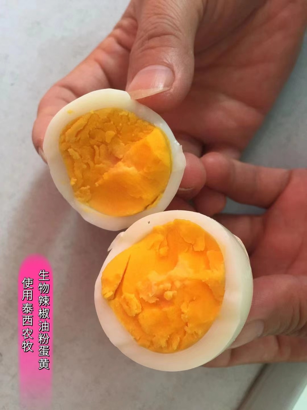 泰西農(nóng)牧生物辣椒油粉提醒秋季蛋雞飼養(yǎng)注意什么