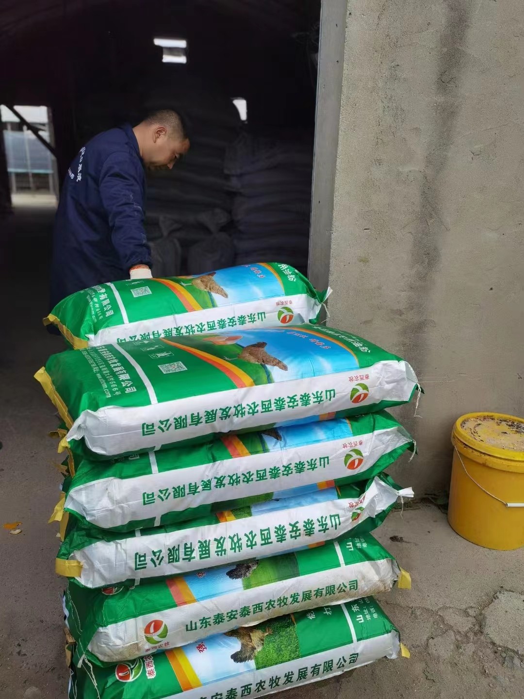 冬季蛋雞添加蛋雞辣椒油粉使雞增熱 提高抗寒能力 同時(shí)增加供暖