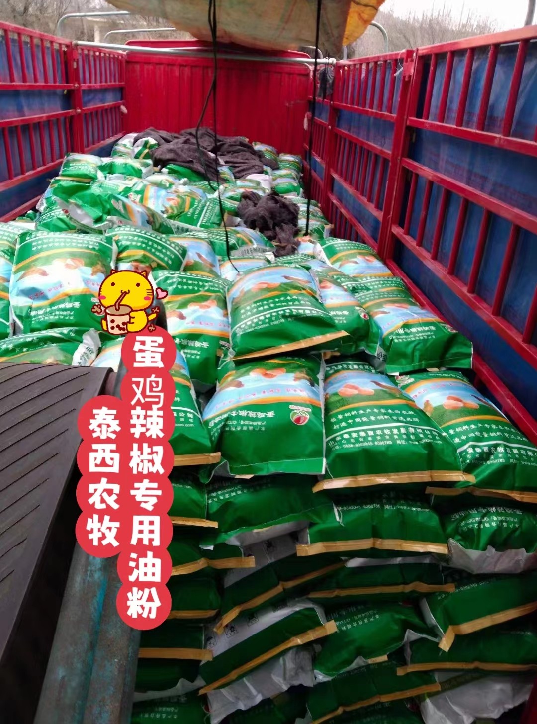 泰西農(nóng)牧蛋雞辣椒專用油粉提示冬季蛋雞養(yǎng)殖注意事項