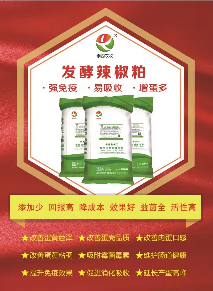 冬季冷應激會影響產(chǎn)蛋率添加發(fā)酵辣椒粕御寒增能