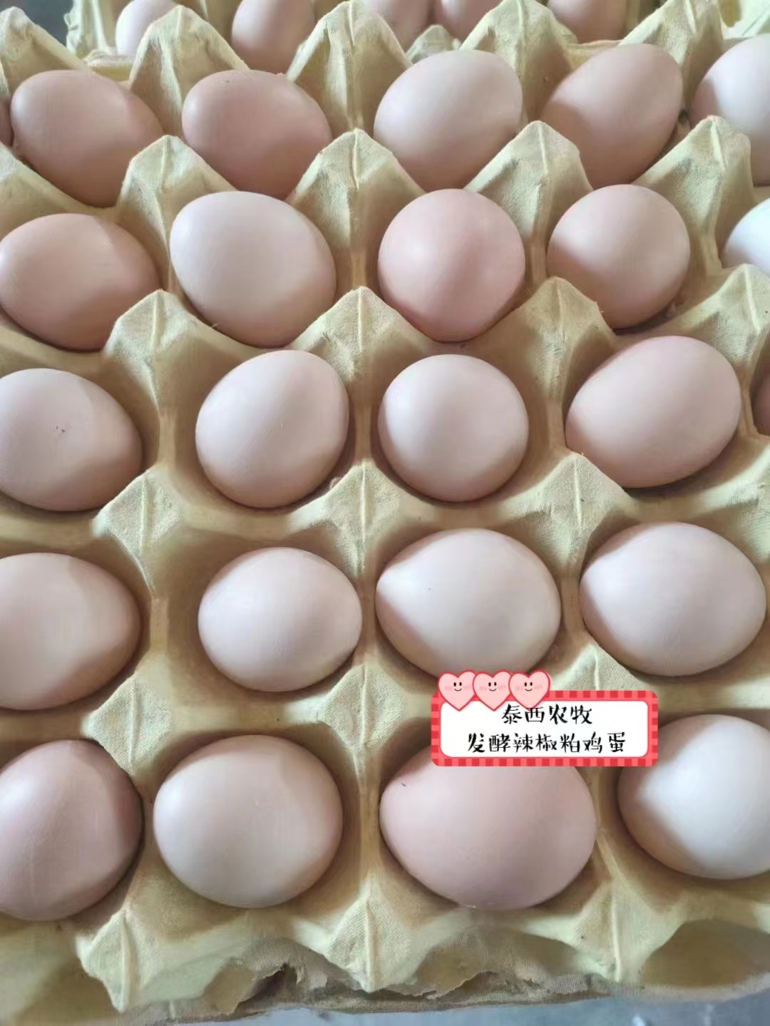 添加泰西農(nóng)牧蛋雞辣椒專用油粉對(duì)暗斑蛋蛋殼質(zhì)量更易碎裂有改變