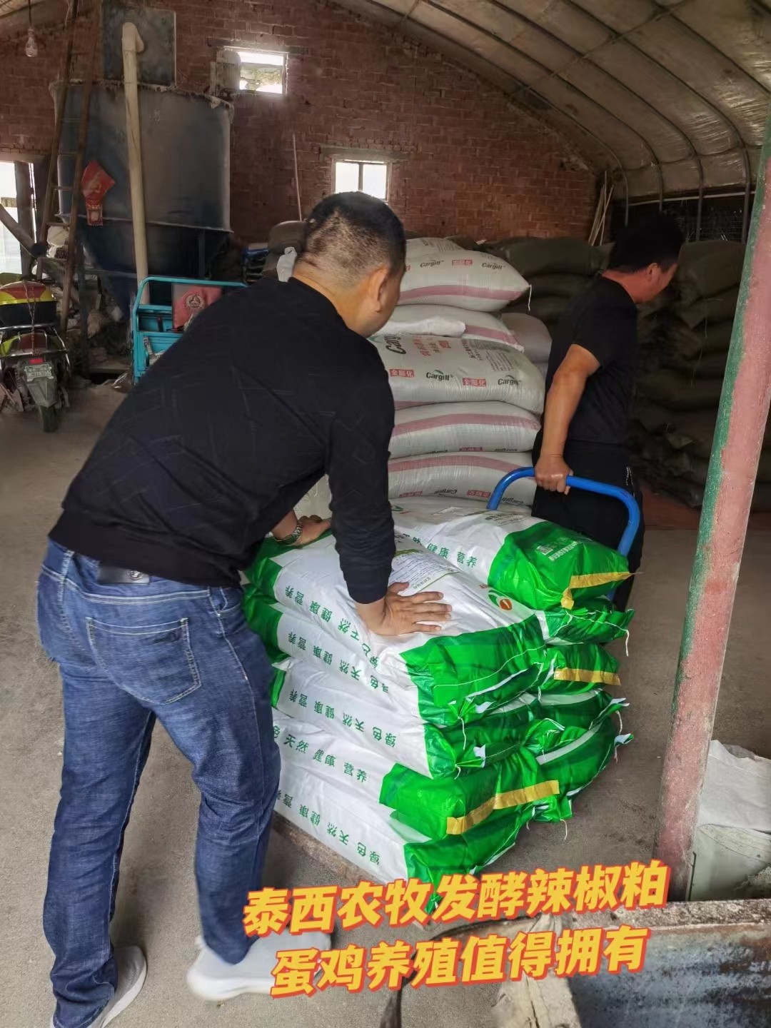 發(fā)酵辣椒粕降低雞舍氨氣可定制加工