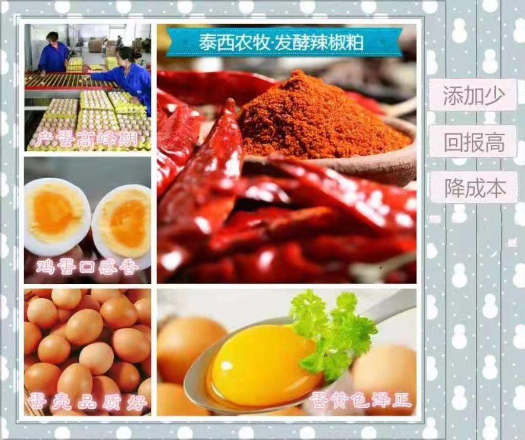泰西農(nóng)牧蛋雞辣椒專用油粉對蛋殼顏色變白有改變