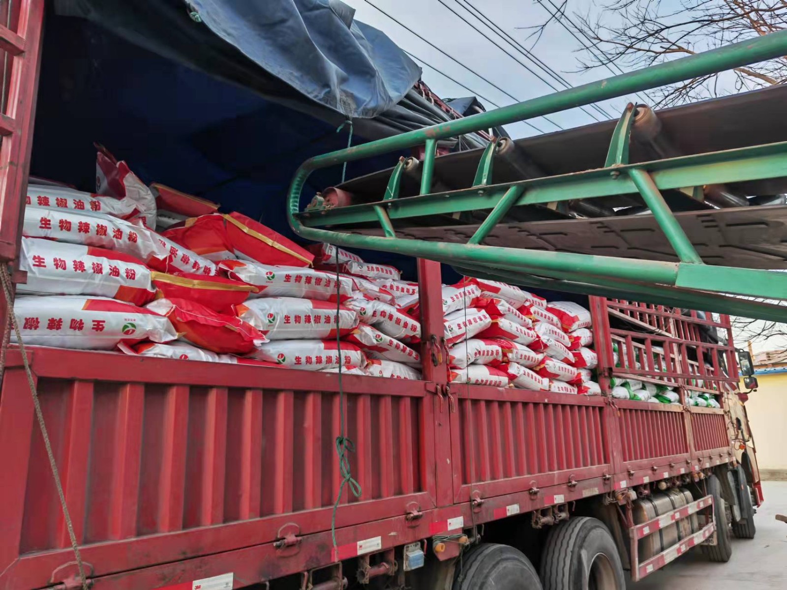 夏季蛋雞養(yǎng)殖生物辣椒油粉喂雞更省心增加采食量